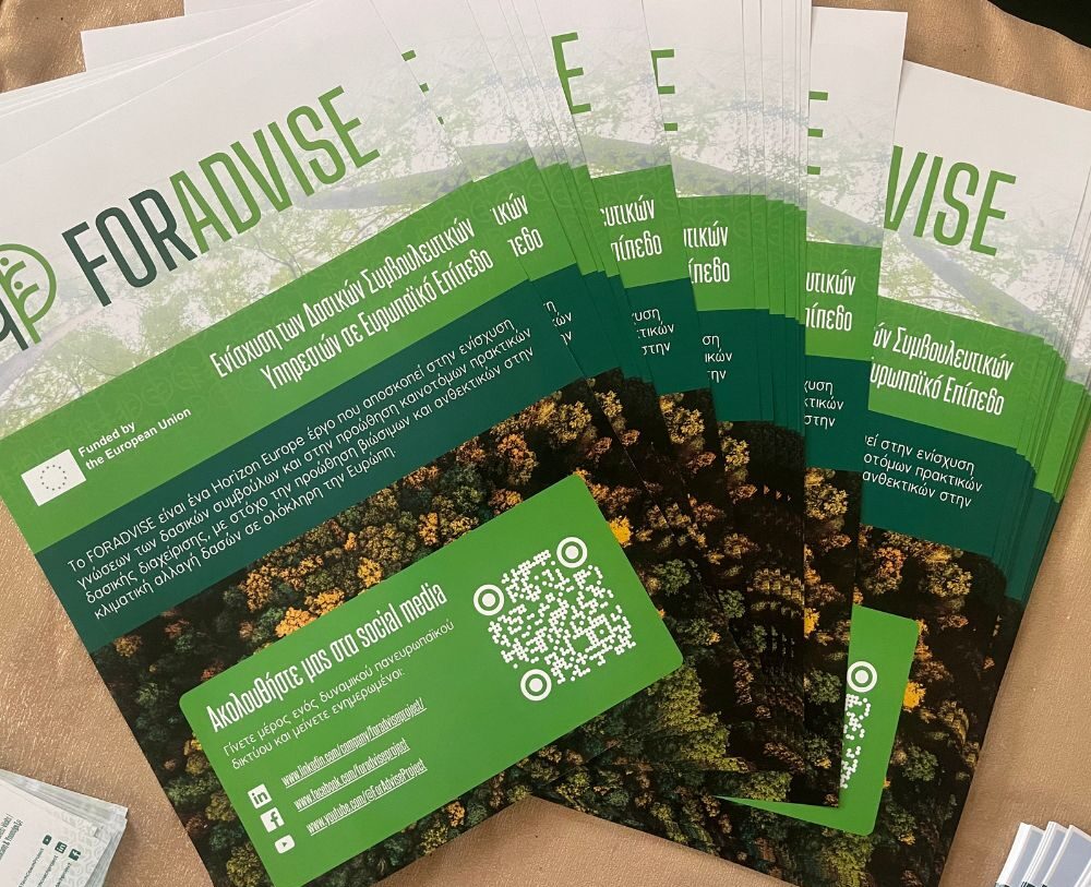 FORADVISE project flyers