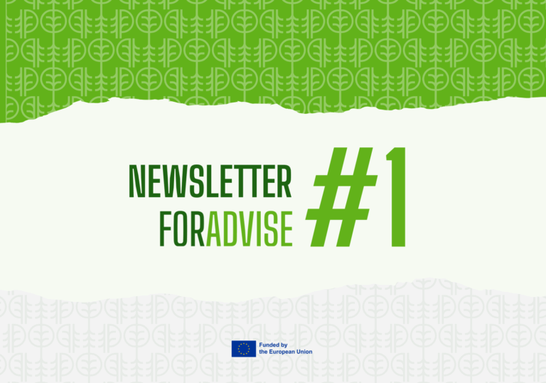 FORADVISE – 1st Newsletter