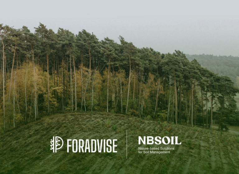forest-soil-foradviseproject